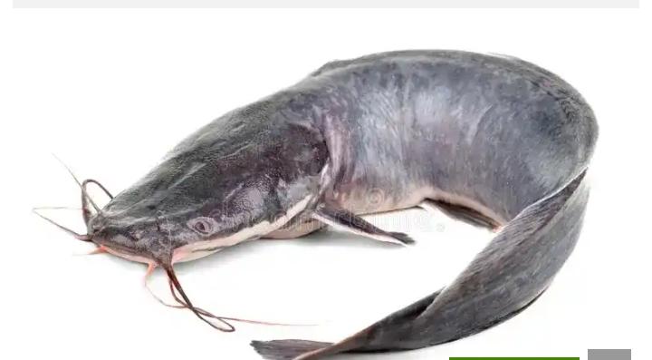 Arick aquaculture.