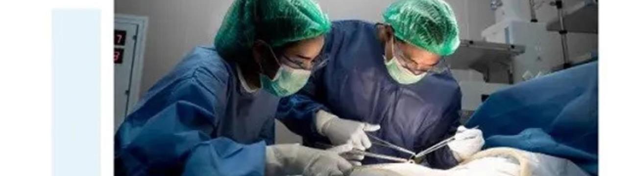 general  gynaecologist