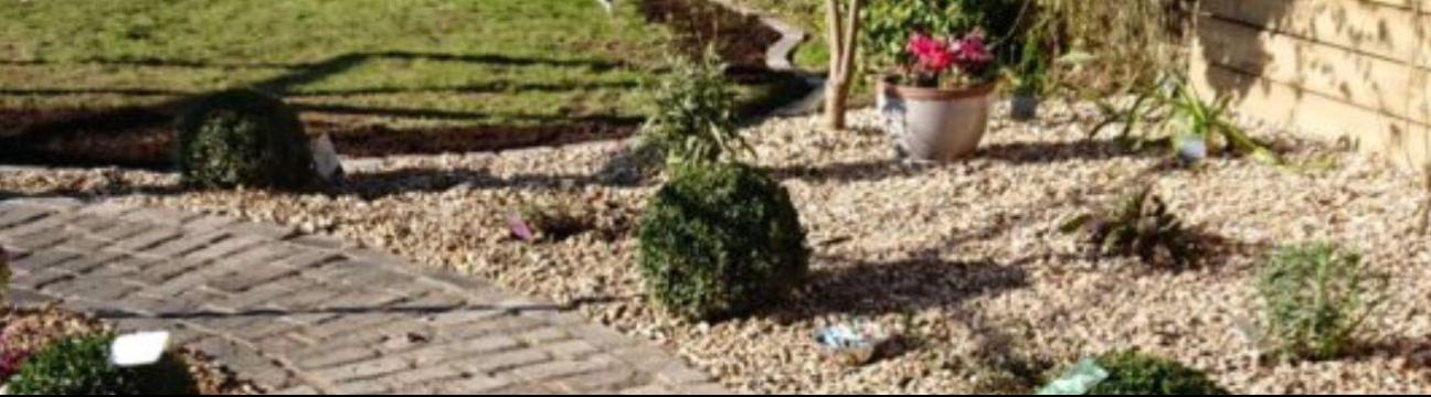 Shootsandroots Wales