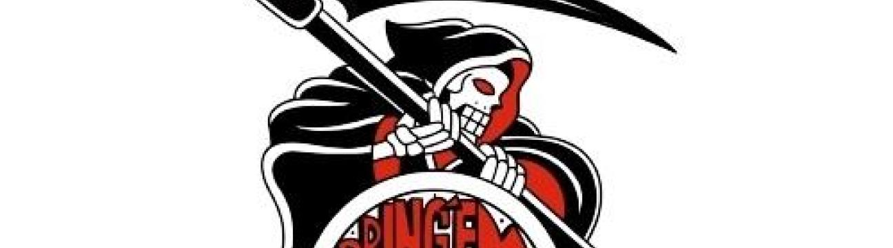 Bring Em  In Investigations