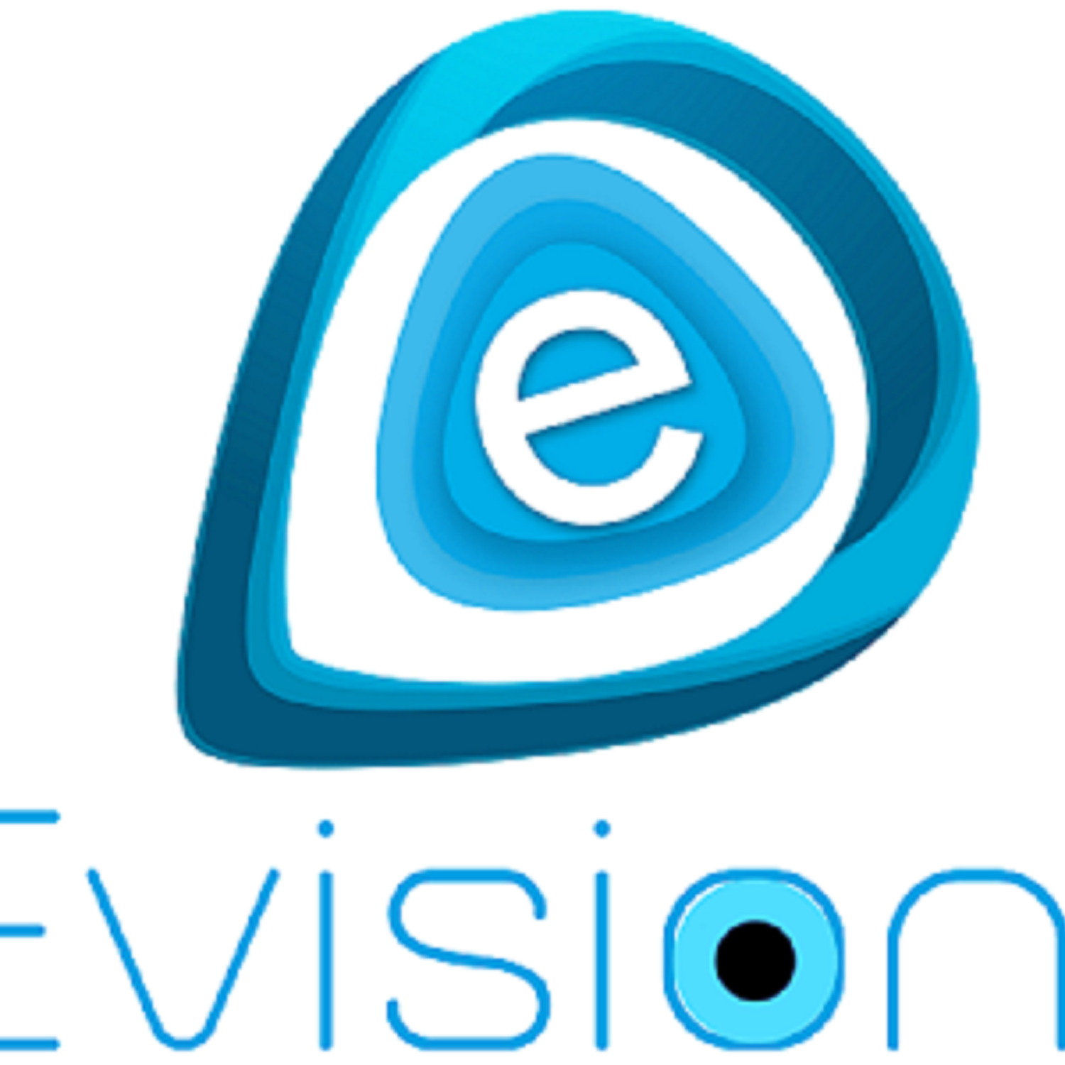 Evision Technoserve