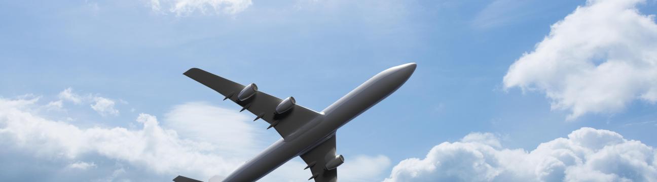Rushmy Flight